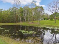 167 Tarata Rd Guanaba QLD 4210 $850,000 - $889,000 This property is a fresh representation of
tranquil and rural Gold Coast living! Set on an impressive 3.2
Hectares, a multitude of different opportunities await one lucky buyer.
This property has distinct character and charm with precise quality in
the build of this exquisite home, from the brick work to the vaulted
high ceilings this home has an honest 'retreat feel'. The open plan
living space is truly inspiring with the rock feature wall and the
parquet flooring; natural light floods this space with a magnitude only
seen in majestical properties. The kitchen/ dining is mutli functional
with good cupboard space and bench space to suit. The standard 4
bedrooms and 2 bathrooms also accompanies this purchase that includes a
master en-suite and extremely large main bathroom.
So many possibilites are in existence on this block, with 2 large dams
and a large shed with power, one can set up a hydroponic farm, multiple
vegetable patches or horse paddocks. At the front of the property
there's also a Care Keepers cottage that acts as a second dwelling. This
is a must inspect for all buyers seeking a special and multi functional
property!
Main House Features Include:
Brick Construction
Metal Roof
2 Expansive living areas with AC
4 bedrooms
2 Bathrooms
Septic Tank
Water Tank 10,000 gallons
Wrap around deck
The Block
Shed with Power
2 x Dams with pumps
Chook pen and hut
Usable land
Green Room
Water Irrigation System
2nd Dwelling
The property is approximately only 7-10 minutes away from Nerang and
Pacific Pines where you will find your major shopping centres, schools,
M1 and local Cinema. This life style property is here to be SOLD and the
owner is motivated to sell.
Read more at http://pacificpines.ljhooker.com.au/MH7GMK#f6KvycGLPixpHekp.99