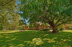39 Railway Street Teralba NSW 2284 2 Green Acres 31 Have you ever dreamt of a country getaway? Would you love that location to be only 10 minutes from central Warners Bay? At 8517m2 this near level property at Teralba has more potential than we would ever be able to capture in a few sentences. The property runs alongside a charming little creek. It is the first time in over 70 years that this parcel of land has been available for purchase. With the original 3 bedroom house on the block you would be able to start enjoying residence at this magical location when your purchase is complete. KEY Features - 8517m2 (2.10 ac) almost flat block with lush surrounds - 60m wide parcel provides versatile access and uses - Rear fenced paddock used for adjisting horses - Original functional residence - Ducted air-conditioning & security system - Large kitchen overlooking the leafy surrounds - Large workshop/storage space Inspection Times 1:00pm - 1:30pm Saturday, 1 November 2014 Auction Times Saturday, 8 Nov 2014 - 1:30pm Land Size 8517 m2