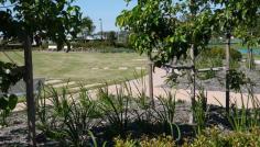 18 Undara Street Maroochydore Qld 4558 Price: $579,000.00 | 18 Undara Street Set in the Savannah Precinct within Sunshine Cove, this striking family home enjoys plenty of space, with open plan upstairs living with a large balcony to soak up the views. Built by Pacific Blue Developments, this well thought out home boasts four bedrooms, two living areas and plenty of room! The builder has indicated that this home will be ready June, so start packing and inspect today! • North facing main bedroom upstairs with large WIR and ensuite; • Three bedrooms downstairs, each with generous robe space with fans; • Large living, dining and kitchen with well-designed undercover patio all upstairs to capture the views and breeze; • Chefs kitchen complete with stone bench-tops, 900mm gas cooker and under bench electric oven and dishwasher; • Split system air conditioning for comfortable year round living; • External access with side access to landscaped gardens; • Carefree freehold ownership. Our office is located on the corner Sunshine Cove Way and Serenity Circuit and we are open six days a week – let us show you this great house and the many benefits of living at Sunshine Cove. Pictures are artist impressions and are subject to change during construction. Park photo is of Savannah central park taken from the southern edge. Suburb: Maroochydore Price: $579,000.00 Address: 18 Undara Street Land: 258m2 View: By Appointment - under construction Bed: 4 Bath: 3 Car: 2