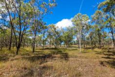 1a Cooks Road Hamilton Creek Qld 4714 This untouched block of land is fully fenced, town water & power..so create your DREAM HOME!
- Golf club within walking distance from block.
- Quiet and peaceful block with a seasonal creek
- Easy access to this picturesque block
- Amenities at your doorstep & great mountain views
Need extra land - add the 5 acres at the back of the block = 10 acres to build that special home you have been dreaming!