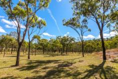 1a Cooks Road Hamilton Creek Qld 4714 This untouched block of land is fully fenced, town water & power..so create your DREAM HOME!
- Golf club within walking distance from block.
- Quiet and peaceful block with a seasonal creek
- Easy access to this picturesque block
- Amenities at your doorstep & great mountain views
Need extra land - add the 5 acres at the back of the block = 10 acres to build that special home you have been dreaming!