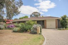 68 Carruthers Dr Modbury North SA 5092 $460,000-$480,000
What a magnificent home boasting 4-5
bedrooms, stunning new kitchen equipped with State 'O' Art appliances,
gorgeous lounge/dine, 2 sparkling bathrooms, tailor made window
treatments and high quality floor coverings throughout. Plus a fabulous
outdoor entertaining area and enough parking for cars, boats and
caravans on this 812sqm corner block home.