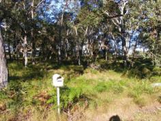 LOT 3 Fishermans Reach Rd Fishermans Reach NSW 2441 HUGE BLOCK SMALL PRICE
Situated close to the river, with sealed road frontage, peaceful and
private. Level and well drained is this easy build block that is 3035m2
in size. Surrounded by nature with enough room for the dream home and
sheds, this is great value at $150,000