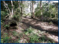 25 Banksia Rd Springbrook QLD 4213 This 708m2 block has a natural gently sloping contour and is in a very
quiet area in the Springbrook National Park precinct where your visitors
will be native paddy melons, parrots, kookaburras and more! From
here you can walk to the Canyon Lookout and through the National Park
trails to the waterfalls. Get fit, enjoy nature at its best and fresh
mountain air at the same time! Local cafes are within a short
walk and it is just a few minutes drive to the local primary school.
Mudgeeraba & Robina Town Centre, railway & hospital take only 30
minutes to reach by car. If you are looking to build a new home, minimal clearing will enable you to do so. Come and explore what may be the start of your new mountain lifestyle.