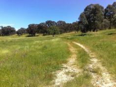Lot 5 Yandoit Werona Road Yandoit Vic 3461 This block is
some of the most picturesque land in the area. Approx. 64 acres to be
used as you like. Fully fenced. Building envelope to build that home
you’ve always dreamed of. Also has 3 dams, great views, good mix of
cleared and shade areas including some lovely old gums. The only noise you hear is that of the many birds chattering. Excellent
property for horses (miles and miles of bush to ride in), also any food
(grapes, olives, fruit trees etc) production. Have a mini farm with a
bit of everything!!! Close to Daylesford, Newstead and Castlemaine. Live that clean, self sustainable lifestyle that will keep you energised for years to come. Call to make appointment for inspection now. View Sold Properties for this Location View Auction Results