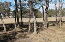 7/24 Merinda Street, Wallangarra QLD 4383 Small Acreage in Wallangarra $85,000.00 This 4.5 acre block is well located on a quiet road in Wallangarra on the edge of town. Adjoining Crown Land, this block is fenced into 1 paddock, comprising undulating to gently sloping country and is well treed with shelter belts keeping it private. Excellent building sites with a Northerly aspect.