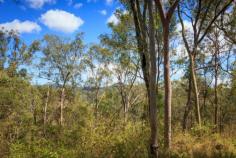From the moment you turn off leafy Upper Brookfield Road, you’ll find your own slice of heaven. Lining the creek at the front entrance, a host of majestic Alexander palms provide a warm welcome. The gentle, meandering driveway takes you into the treetops, where sweeping views tantalise in every direction. These 10 acres of pristine bushland have a resident creek running through the base of the property, encouraging native birds and wildlife to alight. With a cleared and connected house pad ready to go, just invite your architect and your imagination. Here it is. Your very own place among the trees. When you inspect, you’ll also find… * A property ready for your dream home, cleared in all the right places. * A perfect setting, dotted with regal spotted gums. * 400m, 100mm reinforced concrete driveway (worth $200k). * Underground 3 phase power and phone line to the house pad. * 3 phase power pump and pipework to the house pad from the creek below (just needs approval to pump). * 350m walk to Upper Brookfield Community Hall for Happy Hour, food and drinks with your neighbours. * 400m walk to Upper Brookfield School. * Close to the Brookfield and Moggill Pony Clubs. * Country living at its best only 7 minutes to Kenmore. The market’s returning, so a treasure like this won’t last… Call Inspired Realty today to book