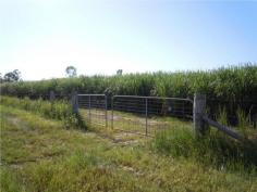 Situated on Bilyana Road,
Bilyana, approx 3 kms from Bruce Highway with bitumen road frontage and
is mostly fenced. Centrally located approx 2 hours to Cairns and
Townsville, 15 mins to Tully and Cardwell and 30 mins to beautiful
Mission Beach. The Property is currently leased and growing cane for
the 2013 cane season. The lease expires on the 31st of December, 2013.
The purchaser is allowed to access during the season to any harvested
cane blocks so that the purchaser can ratoon the cane or plant new
crops. 35 HA (86.4 acre) water licence for irrigation. Irrigation bore
with associated diesel motor and mono pump included. Farm has
previously been used for growing seasonal small crops and as a cattle
property, however with the water licence for irrigation and irrigation
bore it's ideally suited for irrigated crops including papaya, bananas
and small crops comprising melons, pumpkins, taro, choko's etc. Growing
of cane could be continued also,with potential for a further two cane
seasons from the existing cane stools on the property. High tonnage and
CCS farm in relation to cane for the last three cane seasons the farm
tonnages and CCS have been above the mill area averages. Plenty of areas
on property where you can build your house and have views of nearby
mountain ranges. Ideal property to retire to and enjoy the peace and
quiet of country living and earn an income at the same time either from
cane, cattle or other crops.
Land Size 375700 m 2 >Crossover None Location 0 Bilyana Road Bilyana QLD Price 595,000.00