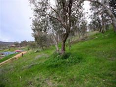Lot 178 Mace Court Albury NSW 2640
LEAFY ALLOTMENT - APPROXIMATELY 12 HA
• An excellent opportunity to secure a unique property in Norris Park • Explore the possibilities on offer with this substantial parcel of land-approximately 12HA • Located on hillside overlooking Albury with spectacular views to the snowfields • An opportunity not to be missed
2006702340