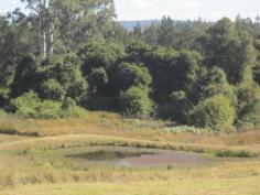 Lot 23 Busbys Flat Rd Casino NSW 2470 This beautiful little block is handy to town and perfect for the hobby farmers amongst us
* With power and phone handy,fully fenced and a good size dam to enjoy
* Picture perfect and private
* Just under 16kms to Casino and under 2 hours drive to the GC