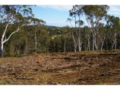  Lot 1,2,5 / Oldbury Street Berrima NSW 2577 Andrew Hearn Real Estate Presents a new land release in the Historic village of Berrima 4
 new lots of between 4047- 6070 sqm are now available to build your 
dream home overlooking the village, and the Wingecarribee River. These 
are arguably the best vacant blocks available in the Southern Highlands.
 Building blocks in the village of Berrima rarely become available. All 
services available and ready to go. Inspect soon. Andrew Hearn Real Estate Presents a new land release in the Historic village of Berrima
 		 4 new lots of between 4047- 6070 sqm are now available
 to build your dream home overlooking the village, and the Wingecarribee
 River. These are arguably the best vacant blocks available in the 
Southern Highlands. Building blocks in the village of Berrima rarely 
become available. All services available and ready to go. Inspect soon. - See more at: http://www.andrewhearn.com.au/listings/land_sale-285329-berrima/#sthash.CmAEJgD4.dpuf 