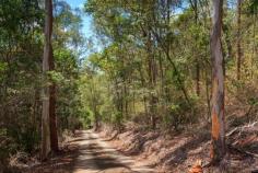 From the moment you turn off leafy Upper Brookfield Road, you’ll find your own slice of heaven. Lining the creek at the front entrance, a host of majestic Alexander palms provide a warm welcome. The gentle, meandering driveway takes you into the treetops, where sweeping views tantalise in every direction. These 10 acres of pristine bushland have a resident creek running through the base of the property, encouraging native birds and wildlife to alight. With a cleared and connected house pad ready to go, just invite your architect and your imagination. Here it is. Your very own place among the trees. When you inspect, you’ll also find… * A property ready for your dream home, cleared in all the right places. * A perfect setting, dotted with regal spotted gums. * 400m, 100mm reinforced concrete driveway (worth $200k). * Underground 3 phase power and phone line to the house pad. * 3 phase power pump and pipework to the house pad from the creek below (just needs approval to pump). * 350m walk to Upper Brookfield Community Hall for Happy Hour, food and drinks with your neighbours. * 400m walk to Upper Brookfield School. * Close to the Brookfield and Moggill Pony Clubs. * Country living at its best only 7 minutes to Kenmore. The market’s returning, so a treasure like this won’t last… Call Inspired Realty today to book