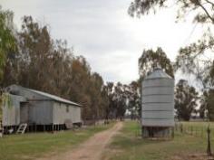 197 Ryans Lane Avenel VIC 3664 'HOLMEDALE' 964 ACRES - (390HA) Situated in Locksley, just a 10 minute drive North of Avenel. A versatile grazing property nestled in the heart of the renowned Avenel/Locksley district. Well improved farming property suitable for sheep, cattle or horses. * 1940's renovated homestead in established garden setting * 4 spacious bedrooms, master with en suite and walk in robe * Open plan kitchen/meals area with separate lounge/dining with built in bar * Two R/C air conditioners plus two slow combustion wood heaters * 964 undulating acres watered by numerous dams * 5 paddocks, machinery shed, timber sheep and cattle yards * 4 stand GI shearing shed * Charlies Creek and Reedy Creek both traverse the property Inspection by appointment please call Paul Bongiorno 0428584755 View Sold Properties for this Location View Auction Results General Features Property Type: Acreage/Semi-Rural Bedrooms: 4 Bathrooms: 2 Land Size: 390.12ha (964.00 acres) (approx) Price per acre: $1,349 Indoor Features Reverse-cycle Air Conditioning Outdoor Features Garage Spaces: 2 Shed Eco Friendly Features Water Tank $1,300,000