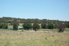 63a Templemore Street Young NSW 2594
Price: $600,000
Sub Division Anyone?
Looking for a parcel of land situated in the ever expanding town of
Young that would be suitable for subdivision? What if it was located
only a few hundred meters away from the Young hospital on the popular
south side of town. What if it already had plans drawn (approx 30-35
blocks) and what if it also came with a 2 bedroom, 2 sleep out cottage
already rented out. What if it was offered at a very realistic price,
would it sound too good to be true? (pity its not).