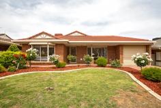 17 Taunton Cres Craigmore SA 5114 Just move in and start living, nothing more needs to be done. This well
maintained home has everything you need, come home relax and unwind at
the end of your day. Features Include: - - 3 generous bedrooms, master has walk in robes and ensuite - Bedrooms 2 and 3 both have built in robes - Main bathroom provides shower, bath with vanity room and separate W.C. - Kitchen has electric cook top and oven, pura tap, pantry and plenty of cupboards and bench space - Open plan family meals with easy care tiling - Formal lounge - Gas combustion heating and ducted evaporative cooling - Neutral decor throughout - Pergola for outdoor entertaining, rainwater tank, toolshed and easy care low maintenance grounds - Auto single garage with drive through access under main roof - Security system plus window roller shutters - Built 1995 - Land size 450sqm Welcome
home to 17 Taunton Crescent Craigmore, situated in quiet crescent with
park and playground across the road. Local schools and public transport
nearby. Only minutes to major shopping precinct of Munno Para. This suburb is fast growing, highly desirable, yet still very affordable. (You
should assess the suitability of any purchase of the land or business
in light of your own needs and circumstances by seeking independent
financial and legal advi