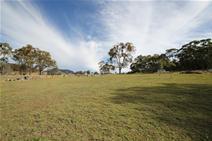 LOT 3 Neagles Ln Tenterfield NSW 2372 $110,000.00 2 acres peacefully located 2kms from Tenterfield Magnificent views towards town and ranges Improvements made since purchased 20/10/2011 Burned off, slashed, part harrowed, kikuya and cocksfoot planted Pad cut for shed, road bass laid Dam cleared out Soil tested Boundary fence completely secured with rabbit netting The works done, this block has been well improved and is ready to go!