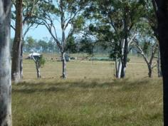 82-126 Morgans Road Purga Qld 4306
Situated at Morgans Road on the Purga Creek, this gently undulating
parcel of land offers great views and exceptional spots to build the
house of your dreams. Very close to town and all it's amenities,
schools, shops, doctors etc. Yamanto shopping centre just a short drive
away.
This block is fully fenced with good split post, 4 barb fencing with
the creek being the boundary on the Eastern side. Two test bores
recently sunk, with good water and volume.
If you want a large parcel of land just a short drive to all conveniences this could be the one.