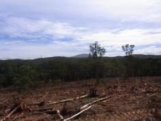 Portion 35, Narrabarba, NSW 2551 Great affordable 40 acre weekender mostly cleared with a long creek 
frontage, good soil and lovely views toward Mt Imlay National Park. 
Easy 15 minute drive to Wonboyn Lake and Eden. Stake your claim. 