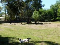 12 Croobyar Rd Milton NSW 2538 THE LAST ACRE
Combining a first class location with a DA approval for the
construction of a home plus separate garage/shed. All of this on 1 acre
situated in the heart of the historic township of Milton, only minutes
from shops, café's, restaurants, schools and beaches.
The land has a boundary of trees for privacy and a near level building
block. Insure your future, as opportunities like this don't come up
every day.
Read more at http://ulladulla.ljhooker.com.au/HFTFB5#xow3LMLTtey576mv.99