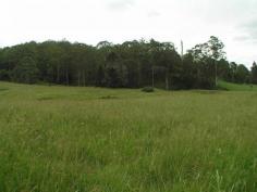 This property has an exceptional good aspect, mainly to the east. A top
range of homesites from rainforest to open settings range across the
whole of the land. Seasonal springs give an abundance of water and these
could be enhanced with dam development. Beat the 'rat race' and enjoy
the serenity of this beautifull Mary Valley property situated
approximately 15 minutes from Maleny.