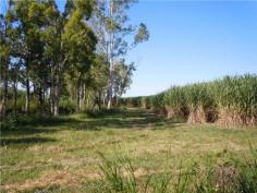 0 Bilyana Road Bilyana Qld 4854
Situated on Bilyana Road,
Bilyana, approx 3 kms from Bruce Highway with bitumen road frontage and
is mostly fenced. Centrally located approx 2 hours to Cairns and
Townsville, 15 mins to Tully and Cardwell and 30 mins to beautiful
Mission Beach. The Property is currently leased and growing cane for
the 2013 cane season. The lease expires on the 31st of December, 2013.
The purchaser is allowed to access during the season to any harvested
cane blocks so that the purchaser can ratoon the cane or plant new
crops. 35 HA (86.4 acre) water licence for irrigation. Irrigation bore
with associated diesel motor and mono pump included. Farm has
previously been used for growing seasonal small crops and as a cattle
property, however with the water licence for irrigation and irrigation
bore it's ideally suited for irrigated crops including papaya, bananas
and small crops comprising melons, pumpkins, taro, choko's etc. Growing
of cane could be continued also,with potential for a further two cane
seasons from the existing cane stools on the property. High tonnage and
CCS farm in relation to cane for the last three cane seasons the farm
tonnages and CCS have been above the mill area averages. Plenty of areas
on property where you can build your house and have views of nearby
mountain ranges. Ideal property to retire to and enjoy the peace and
quiet of country living and earn an income at the same time either from
cane, cattle or other crops.
Land Size 375700 m 2 >Crossover None Location 0 Bilyana Road Bilyana QLD Price 595,000.00