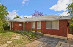 43 Crawford Rd Orelia WA 6167 OPPORTUNITY TO INVEST Looking to Invest? This home has just had the lease renewed and it has been signed until October 2015 at $340 per week, and this makes for an Excellent Investment Opportunity. Whether you are a First Home Buyer or Investor don't look past this property. All the Bedrooms are a good size; the Master has Plenty of Cupboards. Modern floor tiling is throughout the Kitchen and Meals area, this space opens out to the Patio Entertainment. At one end of the Lounge Room is another area that could be utilised as either a Study or Activity for the kids. The Location is very handy and close to the bus route taking you straight through to the Kwinana Train Station or it's only a couple of minutes by car.