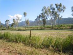 Situated on Bilyana Road, Bilyana, approx 3 kms from Bruce Highway with bitumen road frontage and is mostly fenced. Centrally located approx 2 hours to Cairns and Townsville, 15 mins to Tully and Cardwell and 30 mins to beautiful Mission Beach. The Property is currently leased and growing cane for the 2013 cane season. The lease expires on the 31st of December, 2013. The purchaser is allowed to access during the season to any harvested cane blocks so that the purchaser can ratoon the cane or plant new crops. 35 HA (86.4 acre) water licence for irrigation. Irrigation bore with associated diesel motor and mono pump included. Farm has previously been used for growing seasonal small crops and as a cattle property, however with the water licence for irrigation and irrigation bore it's ideally suited for irrigated crops including papaya, bananas and small crops comprising melons, pumpkins, taro, choko's etc. Growing of cane could be continued also,with potential for a further two cane seasons from the existing cane stools on the property. High tonnage and CCS farm in relation to cane for the last three cane seasons the farm tonnages and CCS have been above the mill area averages. Plenty of areas on property where you can build your house and have views of nearby mountain ranges. Ideal property to retire to and enjoy the peace and quiet of country living and earn an income at the same time either from cane, cattle or other crops. Land Size 375700 m2 >Crossover None Location 0 Bilyana Road Bilyana QLD Price 595,000.00