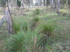 LOT 299 Ellangowan Rd Casino NSW 2470 Positioned just out of cbd and in walking distance to showground/racecourse
* This great 14 acre property has lots of features
* Sealed road access a minute or two from cbd, power on block, fully fenced and accesible water
* Shade trees, good feed, flat land, has dwelling entitlement subject to council conditions
* Would suit a permanent adjistment, holding paddock scenario or enjoy as a getaway close to town
* Drain and power easement on property, property subject to flooding
* At this price, this one wont last !