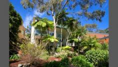 14 Pretoria Ave Mosman NSW 2088 Private Retreat In An Idyllic Balmoral Slopes Enclave Secluded amid leafy bushland surrounds on a deep approx 635sqm, this elegant contemporary residence is framed in idyllic treescape vistas creating an uplifting sense of peace and privacy. One of only a few homes in an exclusive cul-de-sac enclave on the Balmoral Slopes, it's a short stroll via a bushland path to the golden sands and tranquil waters of beautiful Balmoral Beach. Sun-drenched living areas open to deep terraces while the lower level features a versatile self-contained apartment. Soak up the serene ambiance of its unique and inspiring setting, a short stroll to Georges Heights cafes and Clifton Gardens Beach, and minutes to Mosman village. - Deep secluded block adjoining Windward Avenue - Bright and breezy living space with a Jetmaster fireplace - Panoramic northerly bushland views, harbour glimpses - Gourmet limestone island kitchen flows to a terrace - 3 double bedrooms, built-ins, 1 with a study/dressing room - Master suite with terrace, marble bathrooms, spa bath - Self-contained 2 bed apartment with kitchen and living - Ideal for the multi-generational family or nanny/guest use - Terraces with retractable awnings, sheltered courtyard - Sprawling native gardens, lock-up garage plus parking
