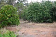 34 Steere St Balingup WA 6253 This
easy to build-on 1045sqm lot within a short stroll to the cafe strip of
magical Balingup is just the spot for the retiree or lifestyle changer
to build a dream home. The lot is serviced with power, water, telstra
with frontage to bitumen road and views to bushland. Come and
experience the magic of Balingup with its Medieval Festival, Small Farm
Field Day, Telling Tales and many other community activities to involve
the mind, body and soul. Great buying at this price! - See more
at:
http://bridgetown.harcourts.com.au/Property/588563/WBR5652/34-STEERE-STREET#sthash.Rdle84ap.dpuf This
easy to build-on 1045sqm lot within a short stroll to the cafe strip of
magical Balingup is just the spot for the retiree or lifestyle changer
to build a dream home. The lot is serviced with power, water, telstra
with frontage to bitumen road and views to bushland. Come and
experience the magic of Balingup with its Medieval Festival, Small Farm
Field Day, Telling Tales and many other community activities to involve
the mind, body and soul.
