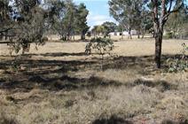 7/24 Merinda Street, Wallangarra QLD 4383 Small Acreage in Wallangarra $85,000.00 This 4.5 acre block is well located on a quiet road in Wallangarra on the edge of town. Adjoining Crown Land, this block is fenced into 1 paddock, comprising undulating to gently sloping country and is well treed with shelter belts keeping it private. Excellent building sites with a Northerly aspect.