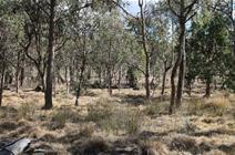 7/24 Merinda Street, Wallangarra QLD 4383 Small Acreage in Wallangarra $85,000.00 This 4.5 acre block is well located on a quiet road in Wallangarra on the edge of town. Adjoining Crown Land, this block is fenced into 1 paddock, comprising undulating to gently sloping country and is well treed with shelter belts keeping it private. Excellent building sites with a Northerly aspect.