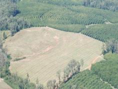123 Veritz Rd Peachester QLD 4519 Ideally located on the Sunshine Coast hinterland is an impressive 62.67
acres of mostly cleared and undulating fertile land with fantastic views
of the Glass House Mountains. This would be a beautiful place to build
offering privacy and seclusion. There are approximately 4500 741
variety macadamia's planted (3 year growth) - so great potential for a
future income. There is a creek with permanent water and the property
is situated in a high rainfall area. This land is positioned less than
10mins to all amenities in the high growth railway town of Beerwah. You
would also be only approx. 1/2 hour to Sunshine Coast beaches and 1
hour to Brisbane CBD and airport. Secure your opportunity to invest in
the future growth of both your land and this sought after area.
REF # 5494