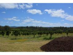 123 Veritz Rd Peachester QLD 4519 Ideally located on the Sunshine Coast hinterland is an impressive 62.67
acres of mostly cleared and undulating fertile land with fantastic views
of the Glass House Mountains. This would be a beautiful place to build
offering privacy and seclusion. There are approximately 4500 741
variety macadamia's planted (3 year growth) - so great potential for a
future income. There is a creek with permanent water and the property
is situated in a high rainfall area. This land is positioned less than
10mins to all amenities in the high growth railway town of Beerwah. You
would also be only approx. 1/2 hour to Sunshine Coast beaches and 1
hour to Brisbane CBD and airport. Secure your opportunity to invest in
the future growth of both your land and this sought after area.
REF # 5494