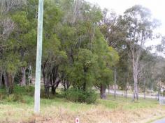 85 Tamaree Rd Cedar Creek QLD 4207 ATTENTION ACREAGE LAND BUYERS - YOUR SEARCH MAY BE OVER...
-Looking for a larger than normal size acreage allotment? -Land Area 4.90Ha -Huge road frontage -Selective tree clearance in place -Room to move and improve this property with very little effort -Wide selection of home sites to choose from plus your very own man size work shed -Electricity on site for your convenience -Located within the Cedar Creek Valley Catchment -Handy to most facilities -School bus available -Short drive to Ormeau Commercial Centre and surrounds This property is priced to sell at $335,000 Inspections welcome contact Alan Tipper 0438 201 801
