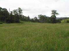 This property has an exceptional good aspect, mainly to the east. A top
range of homesites from rainforest to open settings range across the
whole of the land. Seasonal springs give an abundance of water and these
could be enhanced with dam development. Beat the 'rat race' and enjoy
the serenity of this beautifull Mary Valley property situated
approximately 15 minutes from Maleny.