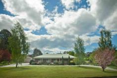 17 Beefeater St Deloraine TAS 7304 Double Brick on Over 6000m2 A rare opportunity exists to secure a 4 bedroom central Deloraine home plus over 6000m2 (1 1/2 acres) of garden and grounds. Double brick and a mere 20 years old this house has room to swing the proverbial cat. Four generous bedrooms with built-in robes, with ensuite in Master bedroom.A large central kitchen services two sitting rooms and separate dining room. An office, also, is to be found. A long curved driveway provides double entrance/exit points and accesses the twin garage which has concrete floor as well as infrastructure internally for a bedsit, with its own toilet/bathroom and bedroom space just ready for conversion. A large garden of many choice shrubs provides shelter and privacy at rear of the house. Land of this size may also have subdivision potential (STCA), enhancing its appeal. Presenting wonderfully, an inspection won’t disappoint.