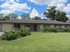 2 Karingal Place, MOREE, 2400, New South Wales Mint Condition - Greenbah
Exceptional presentation, rendered brick, level access, four
bedrooms + office, ensuite, built in robes, fully air conditioned,
modern kitchen, lounge room plus huge northern family-living room,
dining area, log fire, lock up garage under roof (remote door + internal
access) + detached steel lock up garage, manicured 1062 square metre
allotment with watering system. Ideal home for a RETIREE offering low maintenance, above flood levels in a quiet cul-de-sac.