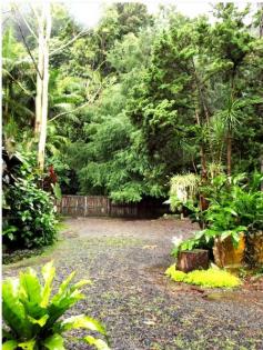 MULLUMBIMBY NSW 2482 FOR SALE: INTEREST OVER $480,000 Set among pristine wilderness bordering the Mount Jerusalem National Park, this light-filled A-Frame cottage provides nature lovers entry to a secluded semi-rural lifestyle within easy access to all the region’s fabulous features. The property enjoys a magnificent outlook to the rainforest valley and cliff faces of Wanganui. Across the road is pedestrian access to the national park and bush walking among waterfalls, sheer cliff walls, lush gullies and unspoiled habitats. Now is your chance to secure a rare, small allotment of 2285m2 of well -established, easy to maintain gardens and fruit tree’s.