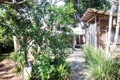 23 Hyde St Bellingen NSW 2454 Property ID 12664703 Bedrooms 5 Bathrooms 2 Garage 4 Land Size 733.5 m2 Rates $2278.73 Yearly Courtyard Yes Floorboards Yes Shed Yes McNally House, rich in Local history c1880, is an outstanding example of early Australian heritage. The house was renovated in 1995 and then again in 2008/9, adding a residence to the existing commercial space whilst in keeping with the timeless character.The design layout exhibits a choice of two separate areas with the front section utilised as a commercial business. This features a large open space, 2 consulting rooms, toilet, hard wood timber floorboards, high ceiling & A/c. The separate residence has a floor plan which was designed as 2 separate pavilions; this includes living/dining/kitchen and timber floors in one and in the second a main bedroom with ensuite and an upstairs area above the original commercial house is a renovated loft which includes bathroom, bedroom and lounge area. Added extras include rear lane access with a three bay car space, a studio/storage/garage,courtyard and fenced backyard. With a range of choices from live in and run your own business, rent both, rent the front and make use of the residence, you decide. This property is currently tenanted - Inspections are strictly by appointment with an agent.