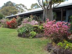 1184 Williams Rd Lillian Rock NSW 2480 OFFERS AROUND $550,000 VENDOR SAYS SELL! A one of kind, 3 bedroom besser-brick rendered home positioned on approximately 69 acres. Functional kitchen which opens to large dining & living area. All bedrooms are generous in size and two boast built-ins. There is also a sewing room, which could be used as an office or additional bedroom. The bathroom has beautiful slate tiling and has a separate shower and bath. Throughout the home there is beautiful raked ceilings & brickwork. There are verandahs on three sides of the house that take in the spectacular rural outlook. There is a fully-fenced above-ground pool with deck, perfect for those hot summer days. There is a single garage, carport & work shed for Dad to tinker in. The acreage consists of mainly open country with good stands of timber on a high knoll. There is 2 wells which run-off into a spring-fed dam. With the school-bus running past the front gate, this property is the perfect place to raise a family. Only 15 minutes to Nimbin, 25 minutes to Kyogle and 40 minutes to Murwillumbah & Lismore