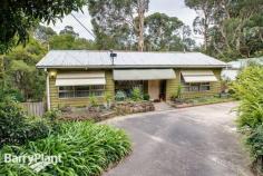 50A Thompson Rd Upwey VIC 3158 $430,000 In The Heart Of Town...'The Cottage' Don't be deceived by the little cottage frontage, the front door opens to a spacious two storey home with 3 bedrooms, full ensuite to the main, two separate living areas, family bathroom, kitchen and laundry/storage. The home will welcome your updates to make it your own, and with an idyllic setting, in ground swimming pool and an allotment of just under 1/2 an acre you will be pleased to see the whole package and delight in planning your renovations. Just a short stroll takes you into Upwey Township, CBD rail connections, buses, schools and shops. It's central and convenient. Come and see 50A Thompson Road today! Features Built-In Robes Deck Pool (In-Ground) Open Fire Place Floorboards Price Guide: $430,000 Plus | Land: 1,965 sqm approx | Type: House