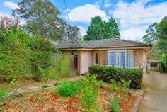 19 Woodburn Rd Kurrajong NSW 2758 Walk to Everything Neat and tidy 4 bedroom, picket fence home located in the picturesque Kurrajong Village, walking distance to quant cafes, bus stop and Kurrajong Park. The home is ideal for young couples trying to enter the property market, investors or downsizing. Offering formal lounge and dining, well-appointed kitchen with gas cooktop and dishwasher with adjoining meals area including S/S A/C. Recently painted and new carpet installed. Features; • Main bedroom with ensuite, BIR and S/S A/C • Pathway from front gate to the front deck and landscaped gardens • Good sized yard with back deck • Separate shed at the back perfect for a home office or studio • Peaceful and quite street