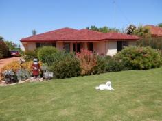 9 Harvey St Harvey WA 6220 $375,000 4 x 2 in town 4 bedroom 2 bathroom, brick & tile home only 10 year old. Large ktichen/dining/family plus theatre room. Ducted evaporative air conditioner, tile fire and gas heater, built in robes to all bedrooms. 40 x 30 Shed with concrete floor. All on large 1012msq block. Property Snapshot Property Type: House Construction: Brick Land Area: 1,012 m2