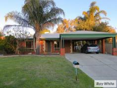 75 Thomas St East Cannington WA 6107 $615,000 1010m² R17.5/30 W/ Quality 3 Bedroom Home Take your opportunity to secure this fantastic 3 bedroom, 2 bathroom family home which features robe recesses in all bedrooms, open plan Kitchen / Dining / Living, large 8m x 9m workshop and more. Situated on 1010sqm, zoned R17.5/R30 the development opportunity for this property is one not to be missed. With the potential of retaining the existing home and developing to the back, or extend the property and utilise the huge workshop to the rear! The property is also superbly located within 300m to Gibbs Street Primary School, 700m to Maniana Parklands, 1km to Cannington Bus & Train Station and only 2km to Westfield Carousel & Surrounding Facilities. Property Features: - Double Carport with room for more cars off street - Side access to rear - Ducted evaporative air-conditioning throughout - Master bedroom with ceiling fan, walk in robe and ensuite - Second living room or theatre to the front of the house - Second and third bedrooms with built in robe recess and ceiling fans - Main bathroom with shower, bath & vanity with storage - Open plan Kitchen / Dining / Living - Kitchen with gas cooktop, wall oven, microwave recess, walk in pantry, built in pantry & fridge recess - Large living room with ceiling fan opening onto rear alfresco - Patio entertaining area overlooking entertainers rear yard - Plenty of room for pets / kids - Already fenced of rear block - Large 8m x 9m workshop on rear block - Surrounded by parklands - Block Size: 1010sqm - Building Size: 140sqm approx - Building Age: 1994 - Frontage: 15.69m - Zoning: R17.5/R30 - Water Rates: $957.80pa - Council Rates: $744.97pa If you would like to receive a copy of the Certificate of Title, Landgate Property Interest Report or Sewer Map please send an email to cameron.smart@raywhite.com