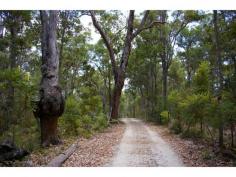8 Johnston Road Nannup WA 6275 $475,000 Key Details property ID 336292 land size 12.87ac Description A GREAT LIFE There is no doubt about it that the current owners have been busy building the foundations for a great life on this 13 acres with a winter creek. Be the one to benefit from all this hard work. Mainly bush from the road the block slopes towards the creek bed and opens up into lovely open views. This is where the older style 3×1 with sleep-out sits nestled. Above that is the newly built triple garage and entertainment area which has a 19 x 10 metre space complete with wood heater, a 3 x 3 metre bathroom and a deck to take in the views. You have everything you need on this property, a half acre fully fenced orchard and vegetable gardens, bore, two rainwater tanks and various sheds. If you are the kind of person that likes a project this could be it. Lots of extras.