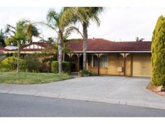43 Osprey Cir Ballajura WA 6066 $549,000 IMMACULATE PRESENTATION/ WELL LOVED HOME The time has come to say goodbye – after over two decades in this quiet neighbourhood, this couple are ready to leave it behind to another well- deserved family. Many memories have passed in this solid eighties built home. A massive, bore reticulated 706sqm block with a back garden big enough for a pool (and already fenced off for one) and an enormous, outdoor entertaining area will have you enjoying the backyard all year round. Although very well presented, you may find you wish to put your your personal stamp on the home by potentially upgrading the bathroom kitchen, or even repaint. Not an overly huge house, this home still has a feeling of space and is very cosy. There is a den for the men (man cave) or could be a children’s playroom. The bathroom servicing all bedrooms is semi ensuite from the master room. Fans and split system a/c units all give greater comfortability. This is definitely a family suburb and has all that you would need to raise one. Doctors, chemists, grocery stores, parks, bus stops , schools and easy access to the Swan Valley ( THE place to be on the weekend) and CBD only 20 mins by car. Consider this in your search for the next home – or, perhaps you are coming from a larger home and need to downsize whilst still leaving room for grand children to stay over?? This lovely home would suit you very well. A cute built in fish pond with goldfish will have to stay. Tandem parking for two cars, a massive outdoor entertaining area and a lovely quiet spot in this very established area makes life great for the lucky family who appreciates a peaceful life! Some items are on offer to remain if requested. Inspections only made by private arrangement so call to make an appointment to inspect - settlement can be sooner or later giving you enough time to place your own home on the market. Happy days ahead!! From $549,000 property ID: 3697315 | property type: House