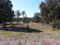 23 Meldrum Loop Bedfordale WA 6112 $369,000 Isn't' it about time you stopped dreaming of getting out of the City?...Take some time out and have a look at this wonderful block of land in Waterwheel Estate...it may just be the quieter lifestyle your looking for... - Rectangular block of approximately 3000 sqm. - Large Building Envelope. - North South aspect, slight fall from the road, mainly cleared with only a handful of young trees. - Approximately 37 metre frontage to Meldrum Loop. - New established neighbouring homes. - Scheme water available. - Building plans available for viewing. Please contact Warren on 0419964778 for further information.