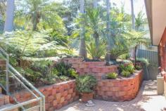 10 Binda St Keiraville NSW 2500 $785,000 3 Bedroom Brick Home Immaculate 3 bedroom brick home located in a sought after suburb. Featuring 3 bathrooms, high ceilings and polished timber flooring. This property comprises of magnificent ocean, city and escarpment views. Kitchen with ceasarstone bench tops and high-end stainless steel appliances. Extra large modern main bathroom, spacious living/dining areas with plenty of natural light. Downstairs potenical for separate accommodation. Huge garage with workshop and storage areas. Perfectly manicured gardens on a low maintenance block. Situated in a prestigious suburb minutes to Wollongong University, shops, schools and public transport. Property: House Bedrooms: 3 Bathrooms: 3 Parking: 1 Local Amenities: Schools Community Centre Railway Station Bus Service Shops Sports Field & Club Hospital Nursing Home Child Care Centre Playground University Park Council: Wollongong