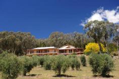 44 Tierney Lane Mudgee NSW 2850 $1,560,000 Wombadah Luxury Guest House The Offer On offer for sale is the freehold of a purpose-built guest house and its well-established Bed and Breakfast business. The sale is inclusive of the website, the business name and the furnishings of the four guest rooms along with some custom made main house inclusions. The Property The property is on a 9.4 hectares parcel of land located just outside the township of Mudgee in an area known as the golden triangle on account of its numerous family owned vineyards. The improvements consists of a two level guest house with a single carport, additional under-the-house garaging for 7 cars, an in-ground solar heated pool with a gas heated spa, a wine cellar and a store room. There are also two large water tanks that keep the property well supplied with water. The house was built in 2004 and is designed to provide privacy to guests and owners with a separate guest accommodation wing that can be accessed directly from the garage area and through a pool side courtyard. The guest wing contains four luxuriously appointed and spacious guestrooms, all with King beds, a sitting area and ensuite bathrooms. Each of the tastefully decorated rooms has access to the North facing balcony that overlooks an olive grove and provides uninterrupted views of the Cudgegong valley below with its lush greenery and boutique wineries. The main part of the house comprises of a large lounge area with a cosy fire place, an adjacent dining room, a reading room, a study, a laundry and a disabled friendly bathroom. A well designed and fully equipped kitchen with walk-in pantry is directly opposite the dining room where breakfast is served for up to 8 guests. Upstairs there is an owners retreat with a lounge room, a master bedroom with ensuite, spa bath and walk-in robe. The Business The BnB business is well established with 11 years track record. It enjoys repeat business and a great reputation for high quality hosting. It is rated 4 ½ stars by Star Ratings Australia and is mainly focused on couples only. It is positioned as a luxury weekend retreat or short stay for couples looking for a romantic getaway or a unique experience with a minimum of two-night stays. The current owners have deliberately favoured week-end occupancy over mid-week in their business promotions to maintain their chosen lifestyle. Despite this, turnover is healthy at approx. $100k per annum. There is room for growth for new operators willing to target the mid-week trade. The Location The charming country town of Mudgee is located just over 3.5 hours from Sydney and 4 hours from Newcastle. It has a dynamic and friendly community and a strong and diverse economic base. Whilst well known for its fine wine, it is also blessed with historic buildings, boutique shopping and sophisticated dining options. The region is a popular destination for tourists and receives more than 496,000 visitors each year that come to enjoy the delicious local wine and food and the many sporting, market and cultural events that occur throughout the year. Agent’s Opinion: This spacious house sits on the side of the hill in a serene bush setting. The interior is bright and airy and well laid-out. There is a number of relaxing outdoor seating areas pool side and on the balcony with delightful valley views. The business is easy to run and offers a great lifestyle with substantial income relative to the investment. This opportunity would suit a couple looking to enjoy a more relaxed lifestyle without sacrificing income Price $1,560,000 Title Freehold State NSW Region Central NSW Suburb Mudgee Postcode 2850 Property Type Hosted Accommodation Operating Status Going Concern